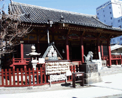 Asakusa Shrine (Sanja-sama)